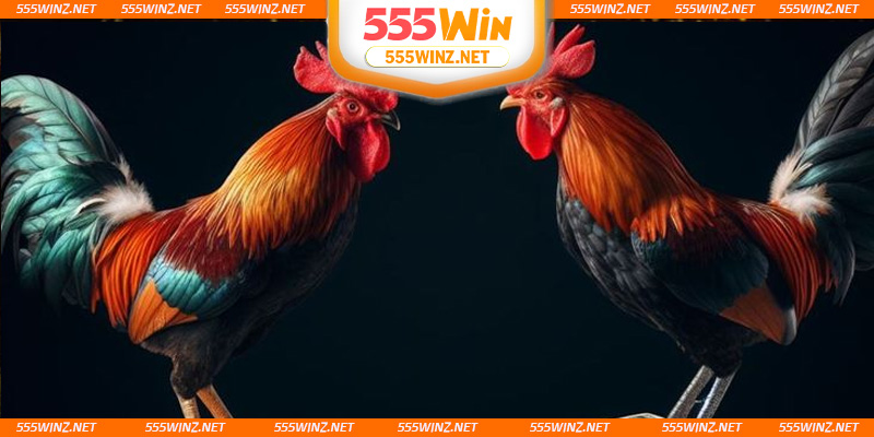 huong-dan-xem-da-ga-cua-dao-muot-ma-tren-dien-thoai