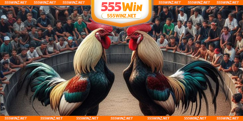 truc-tiep-da-ga-mang